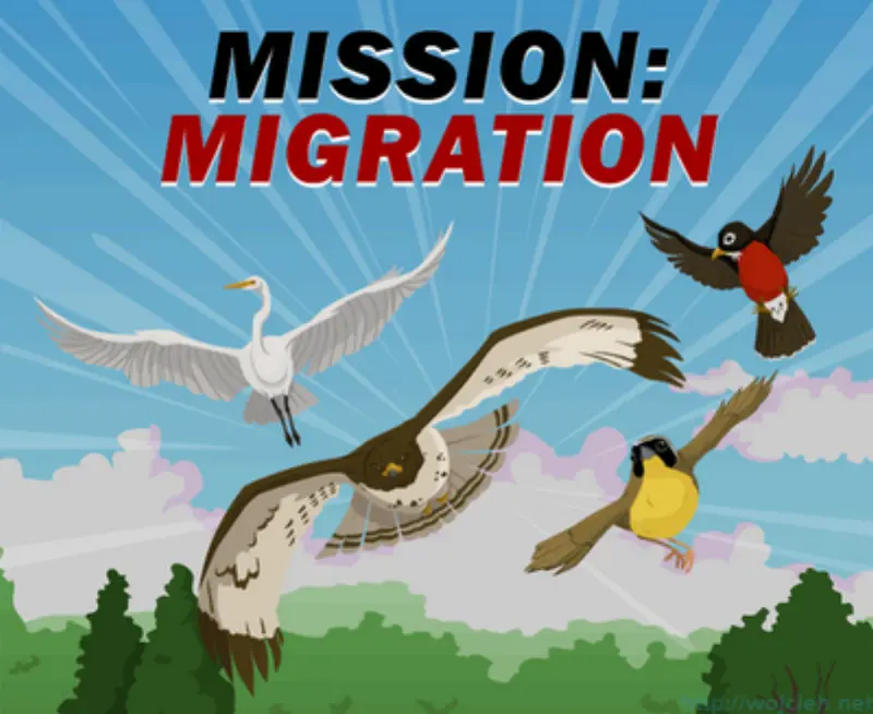 Migration