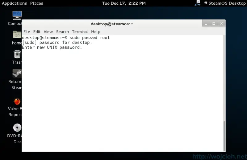 SteamOS change root password