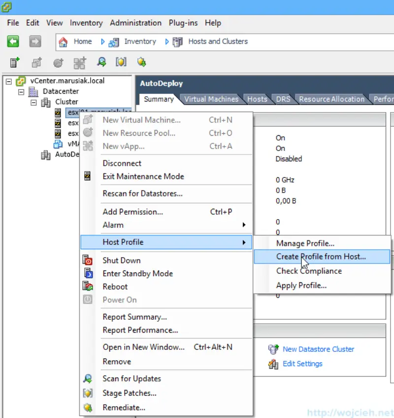 VMware vSphere Auto Deploy - Host Profiles - 1