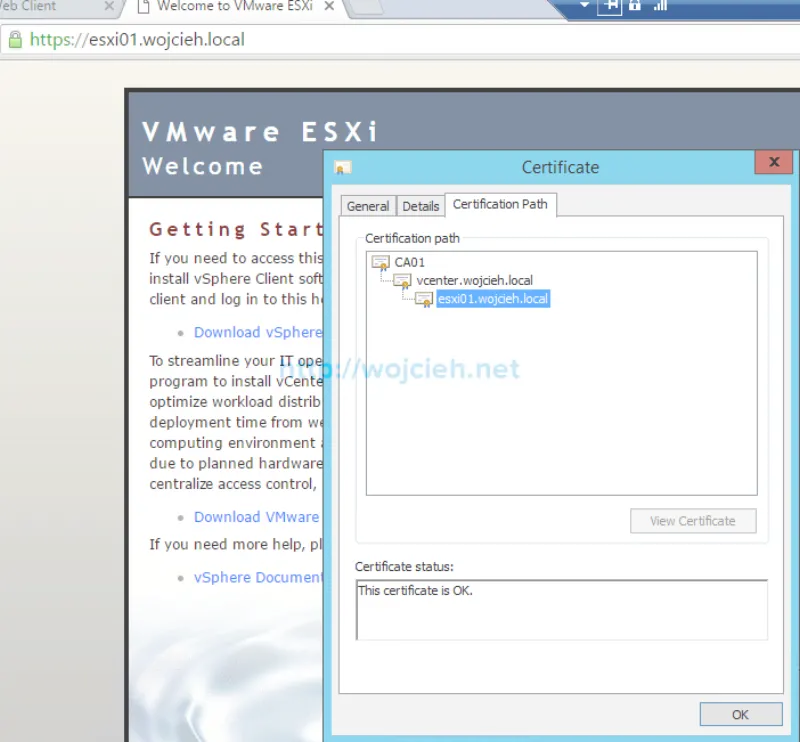 Renew ESXi SSL certificates in vSphere Web Client - 7