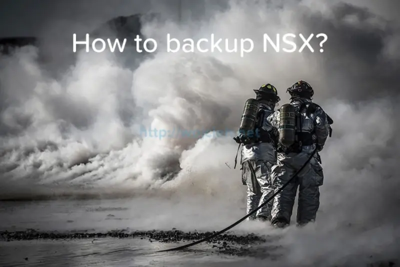How to backup NSX - logo