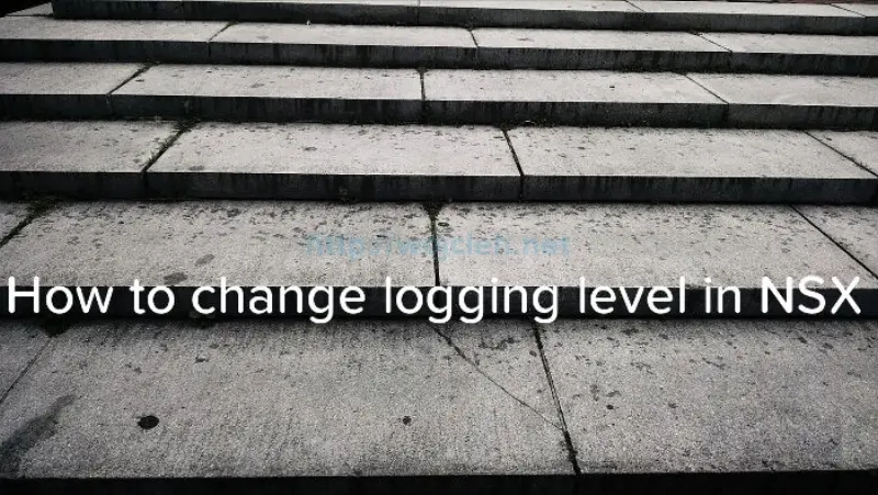 How to change logging level in NSX - Logo
