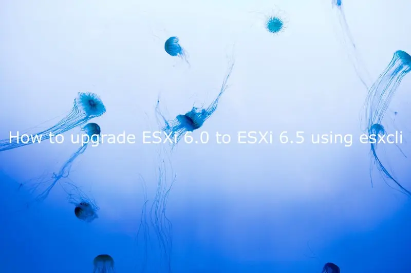 How to upgrade ESXi 6.0 to ESXi 6.5 using esxcli - logo